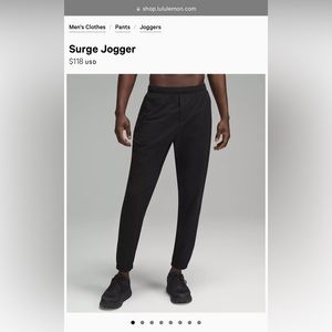 Lululemon Surge Jogger Size L 29inch Purple